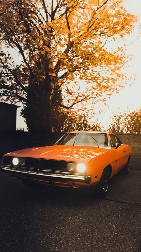 Dodge