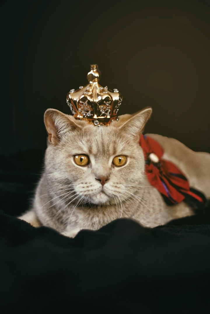 king