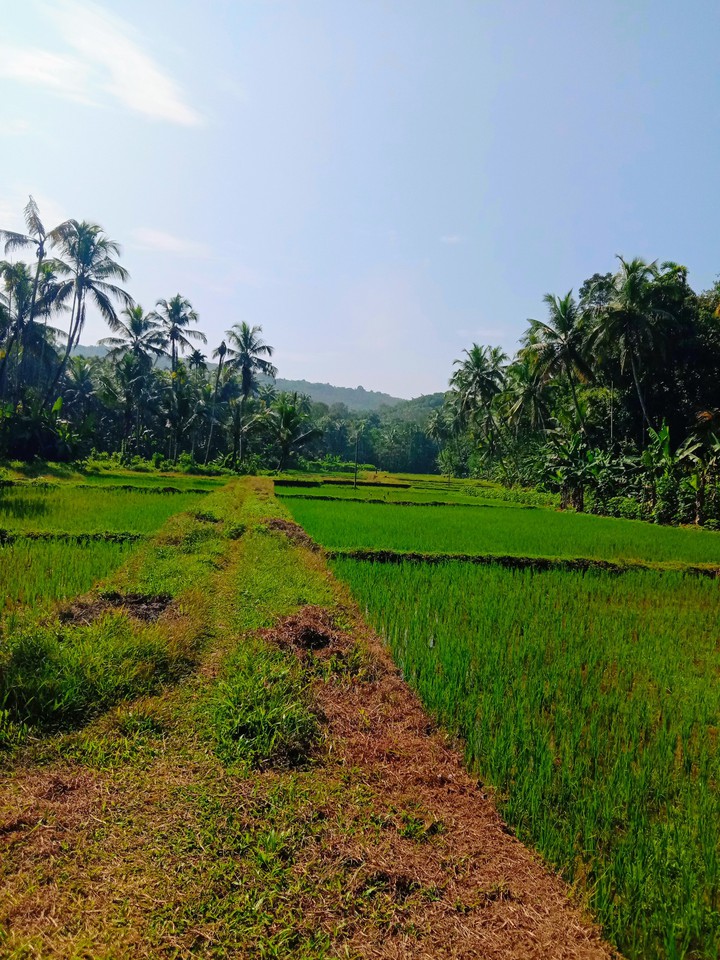 village side