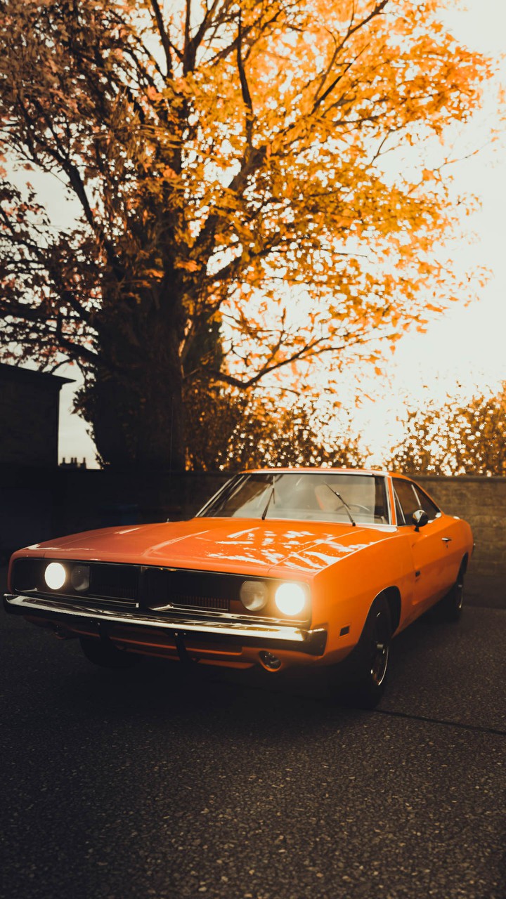 Dodge