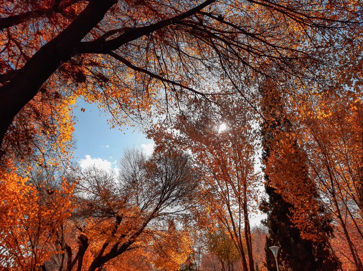 autumn sky