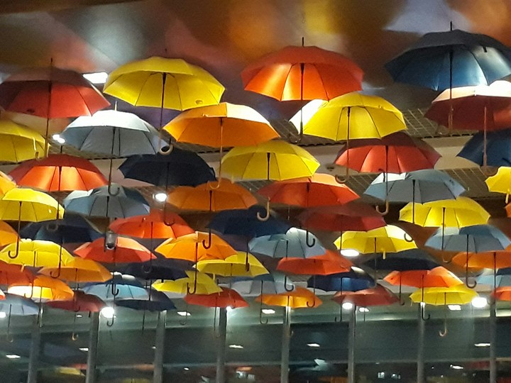 umbrella