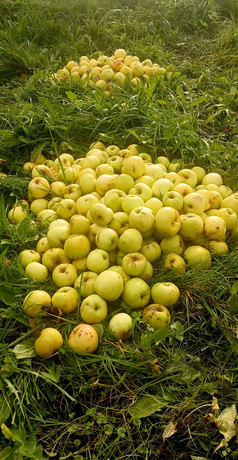 Produce, Fruit, Natural_foods