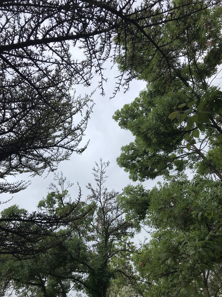 sky