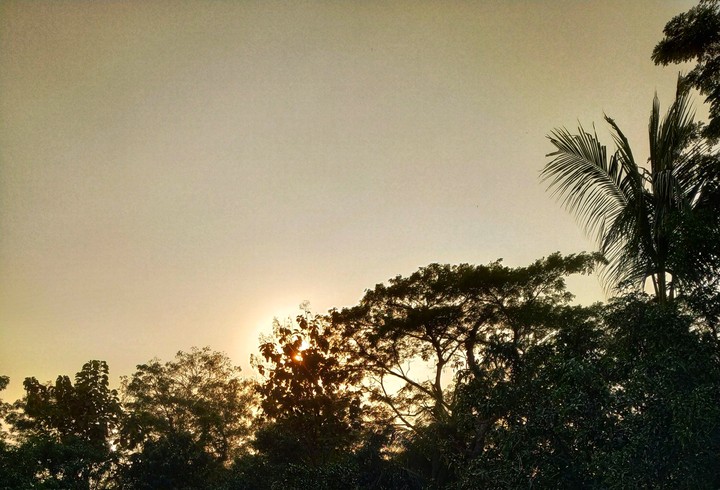 Twilight
