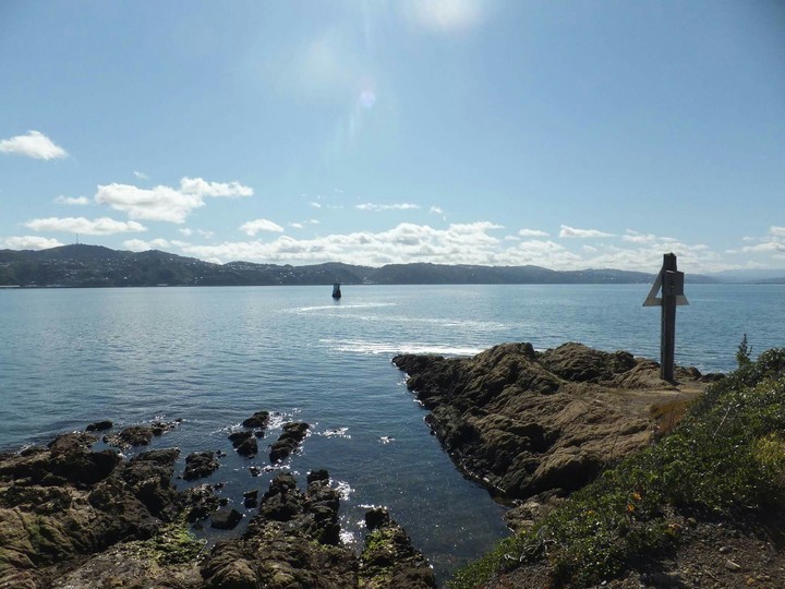 Wellington harbour