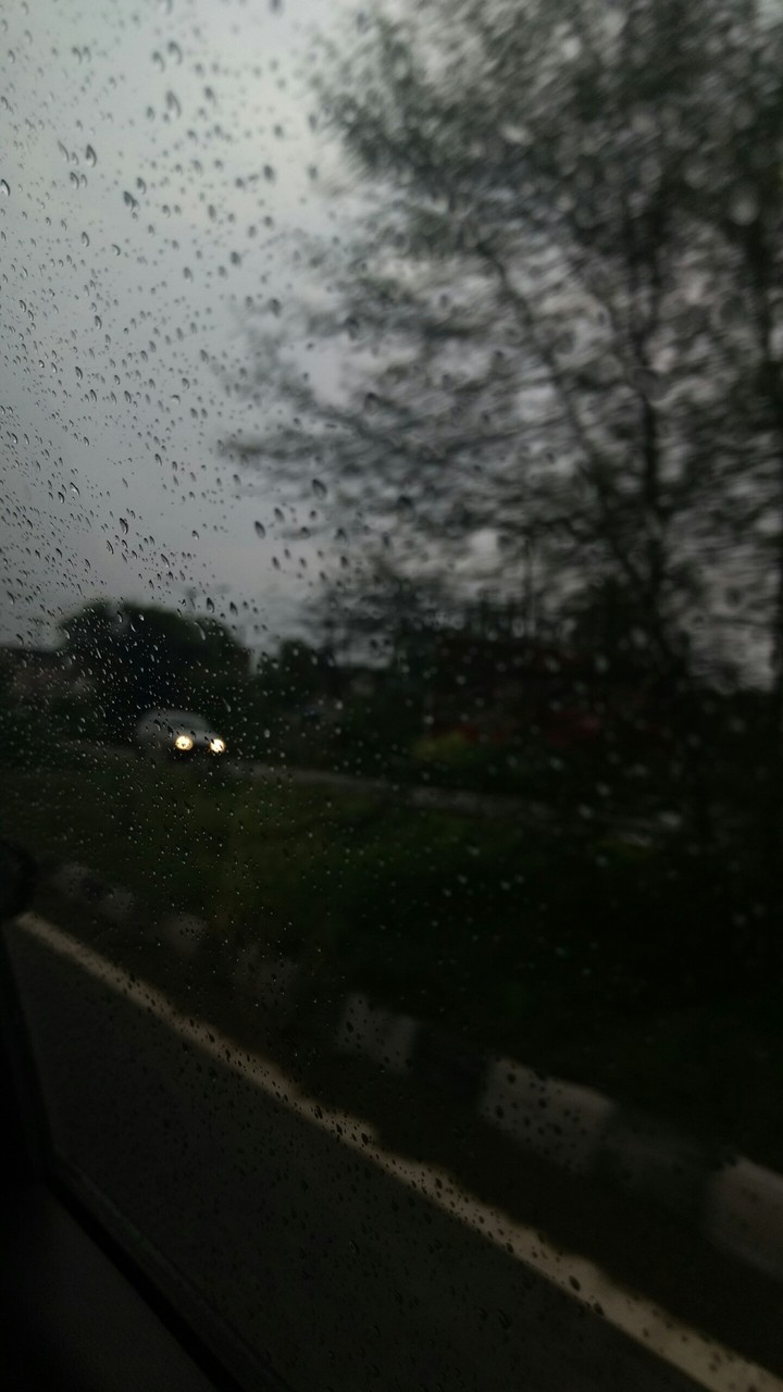 The sound of rain soothes me❤