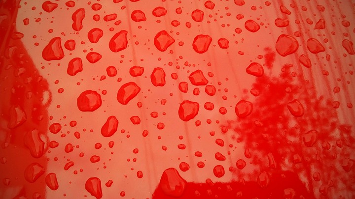 rain drops on red