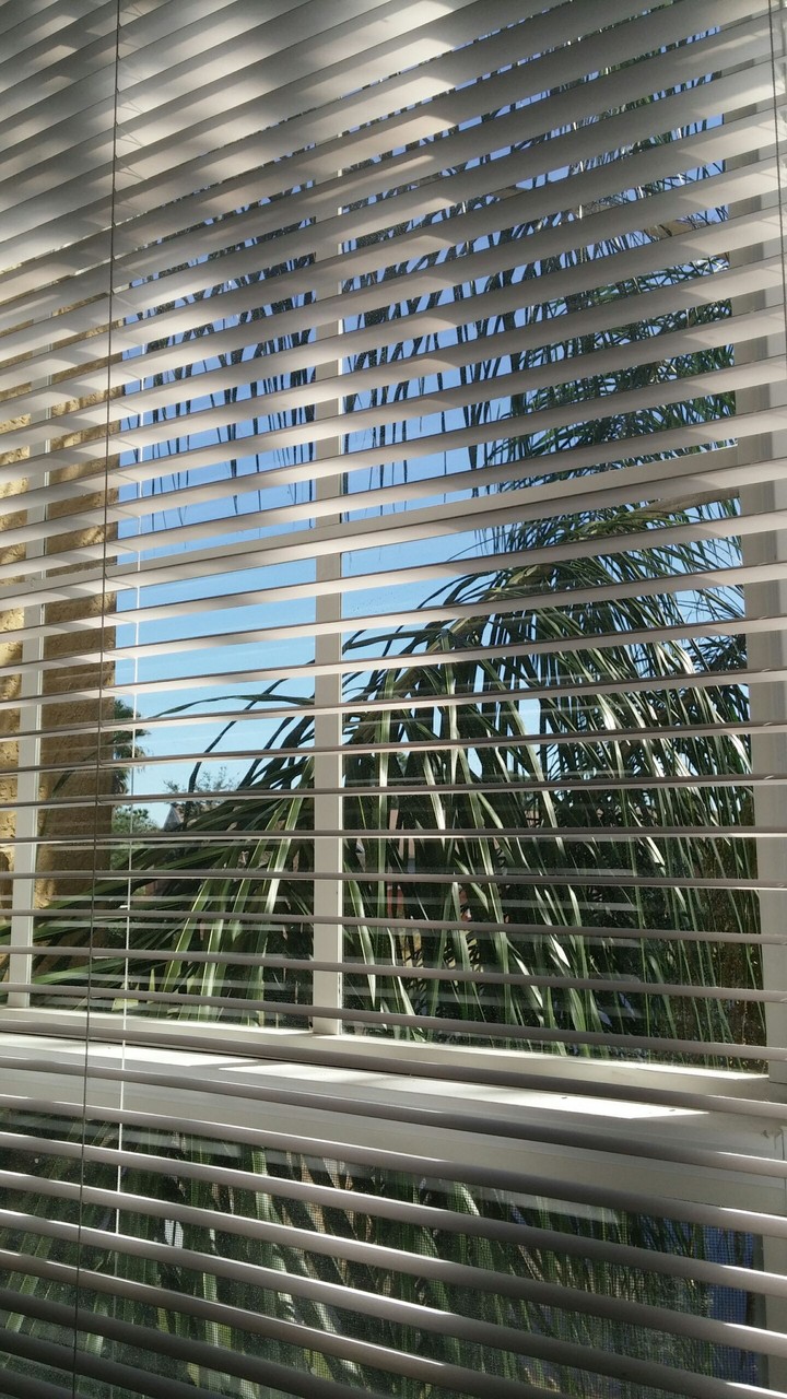 sun coming through my window