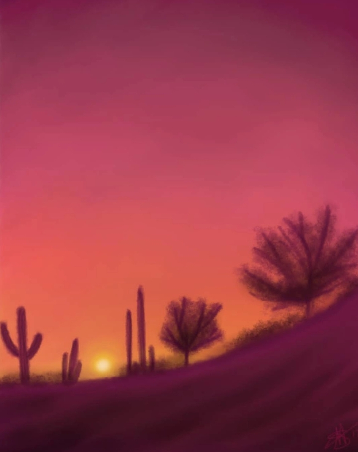 Desert Sunset