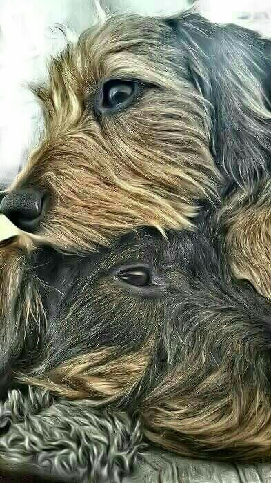 .