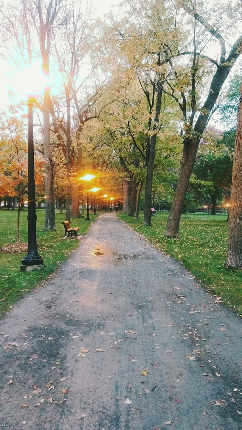 Beautiful Street