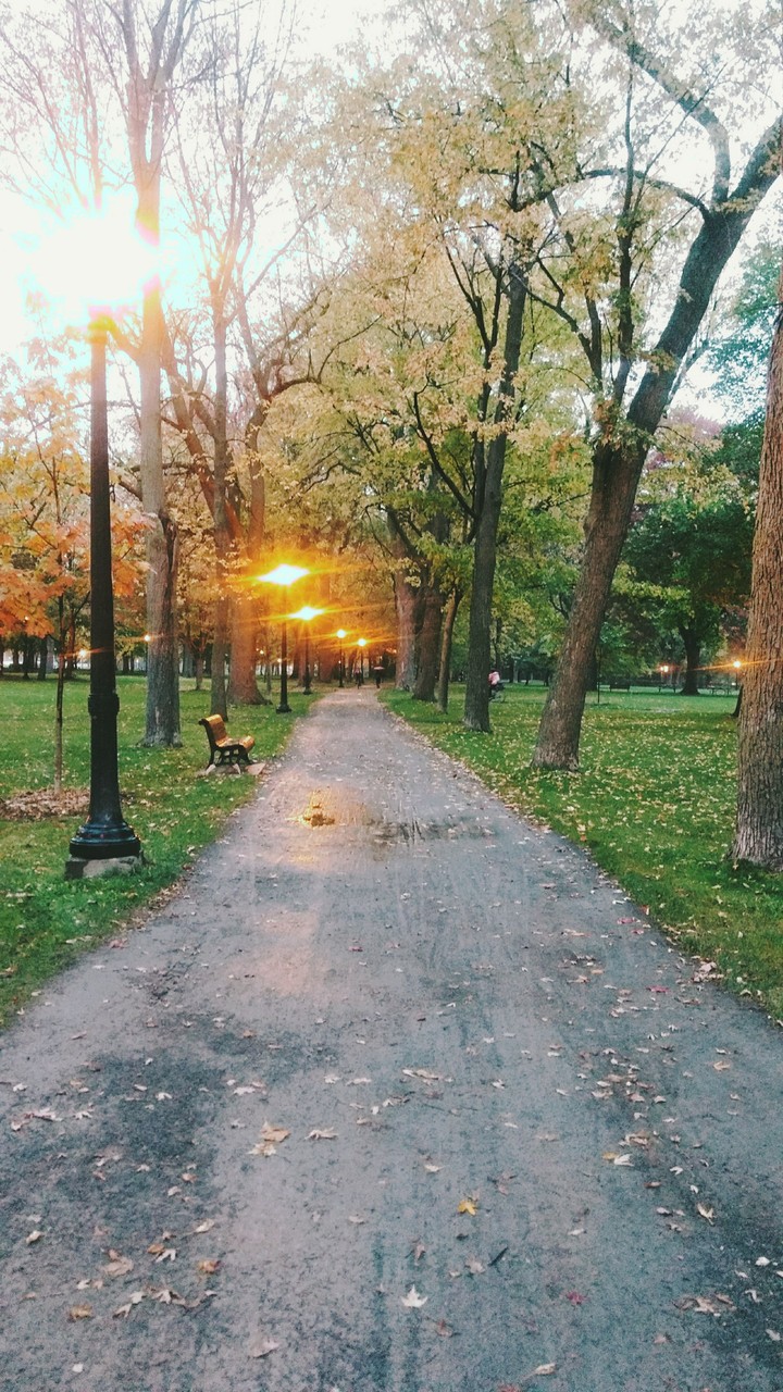 Beautiful Street