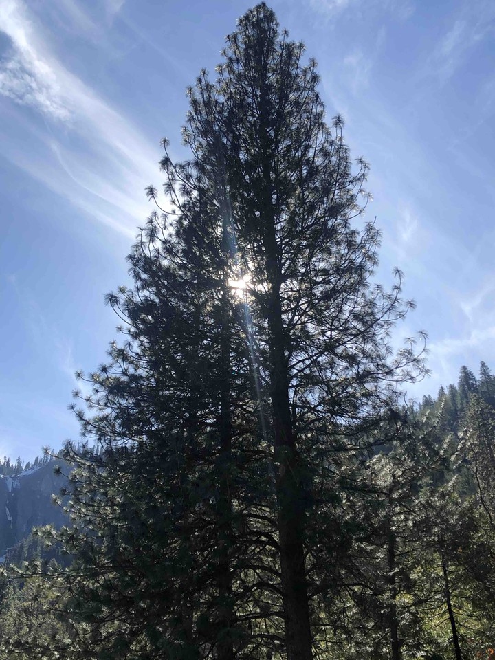 Yosemite