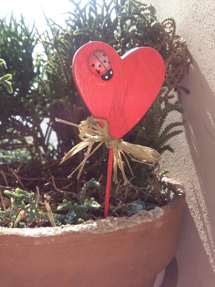 Cuore