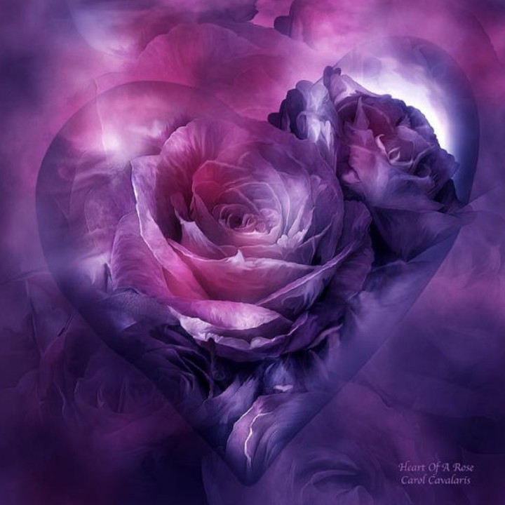 heart..