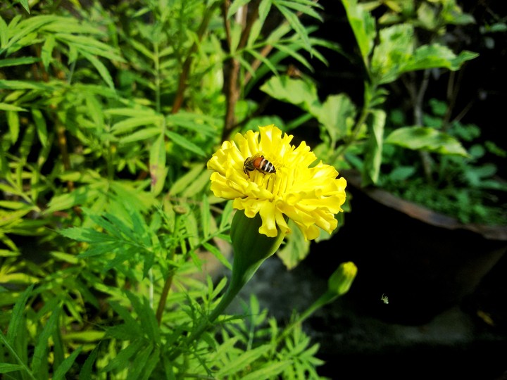 beauty of nature