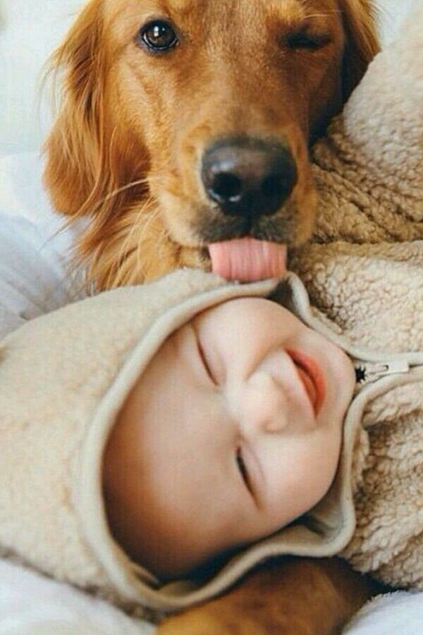 Love pets