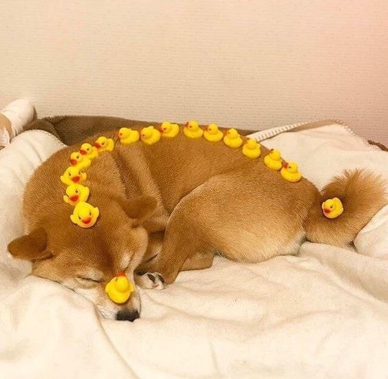 Сон