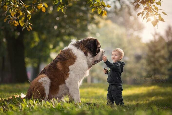 friends