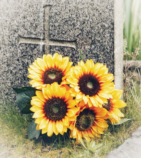 Flowers for the Fallen