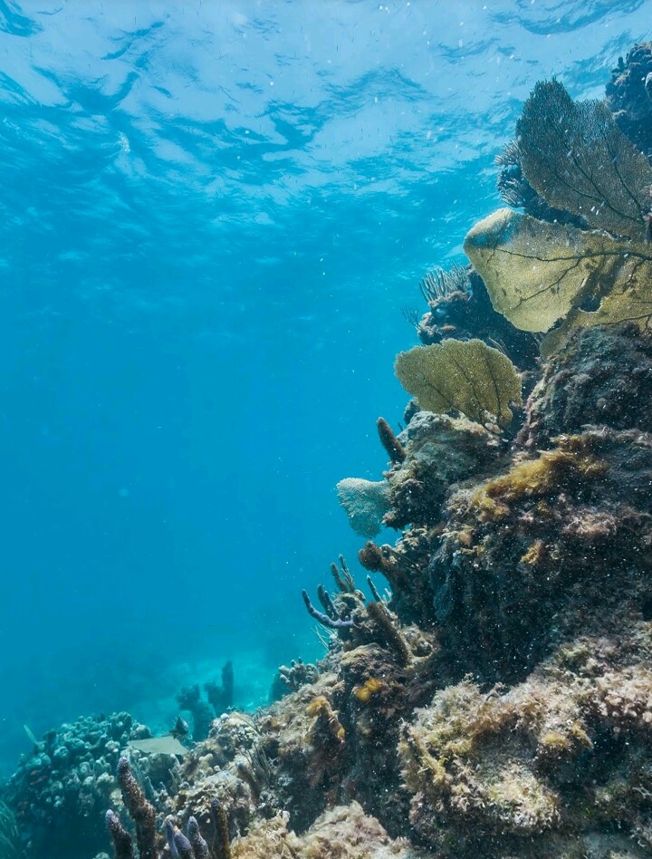 под водой