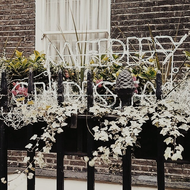 notting hill  、merry christmas