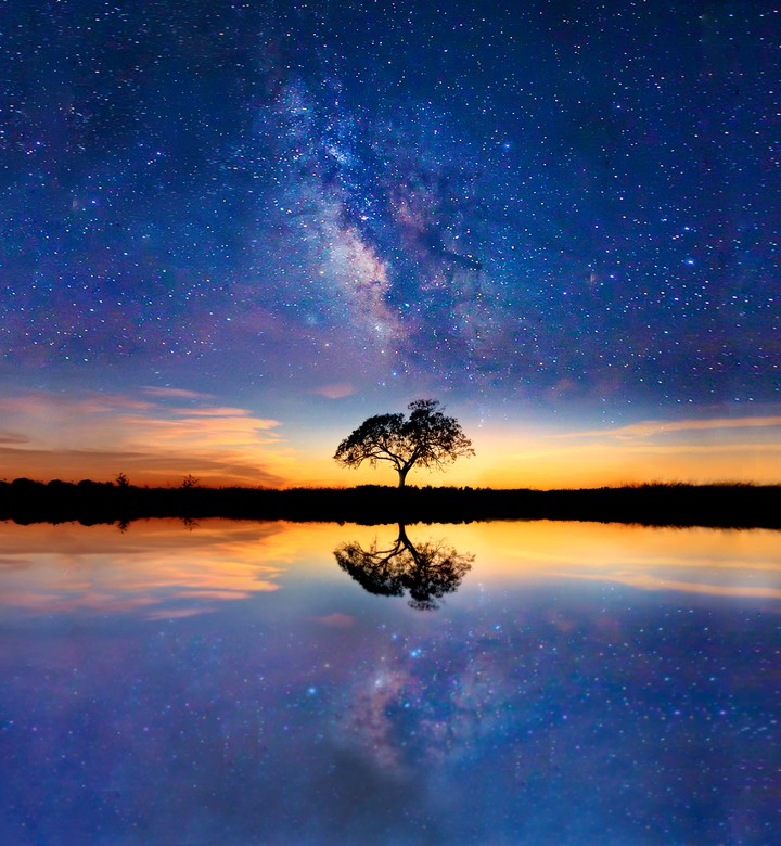 Baum