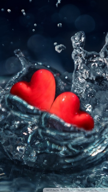 ♥♥ Love ♥♥