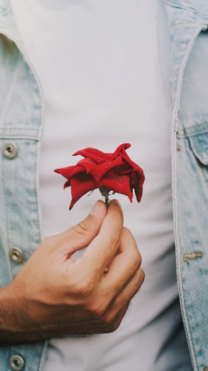 Red Roze Flower