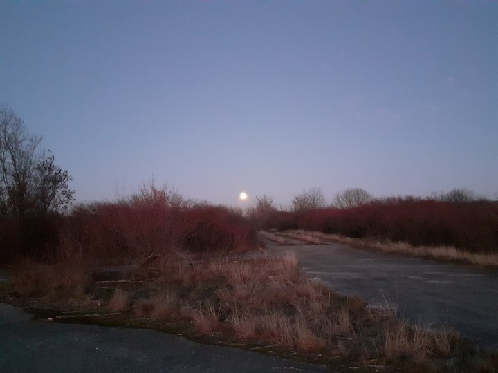 full moon
