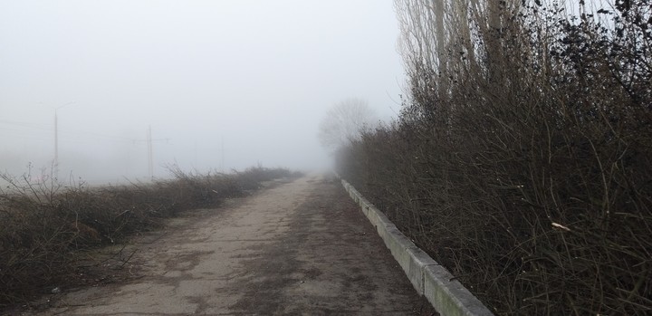туманная дорога