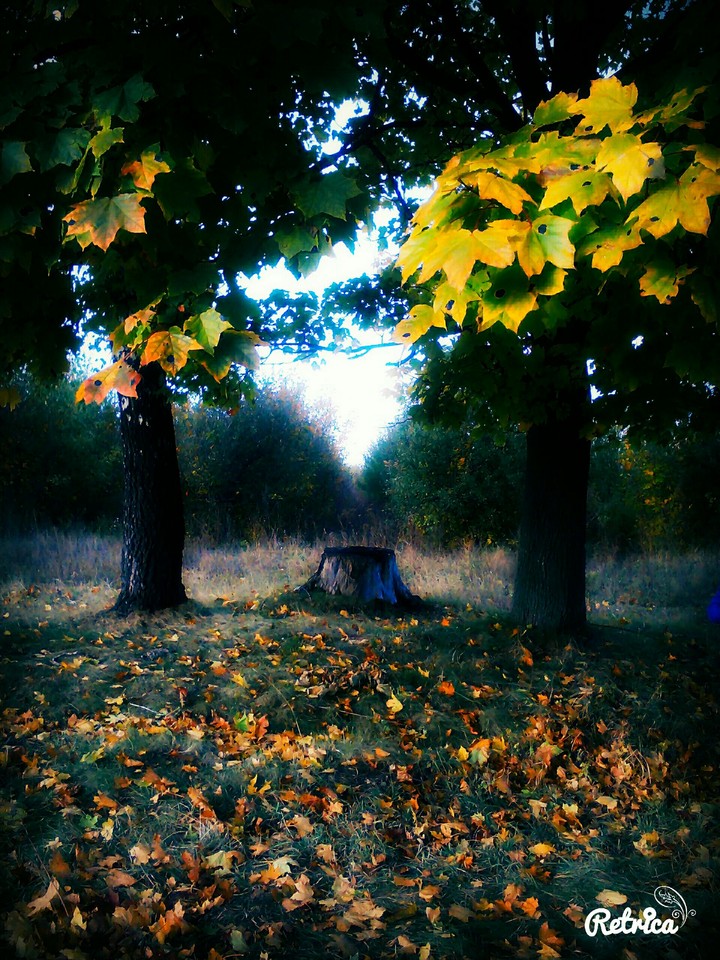 By my Novemder.... hallo Dezember❄