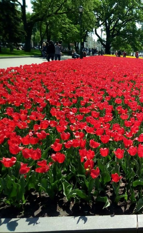 Spring