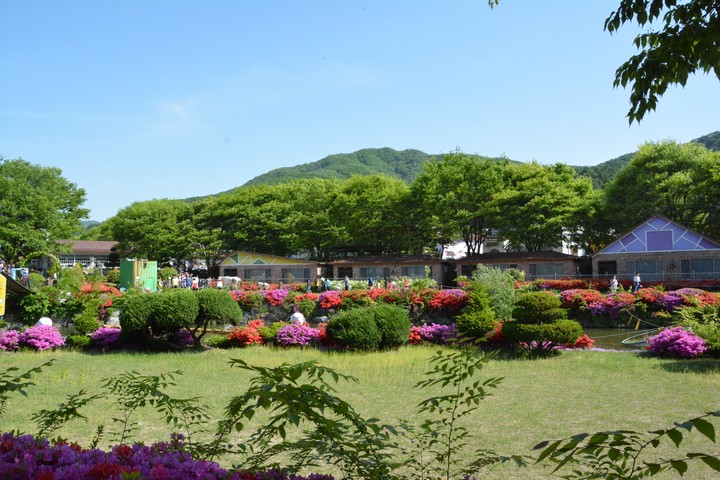 유일레저타운이미지