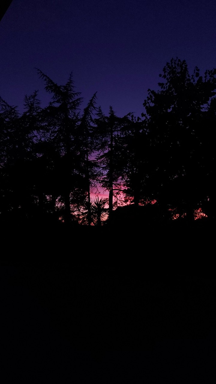 PINK SUNSET