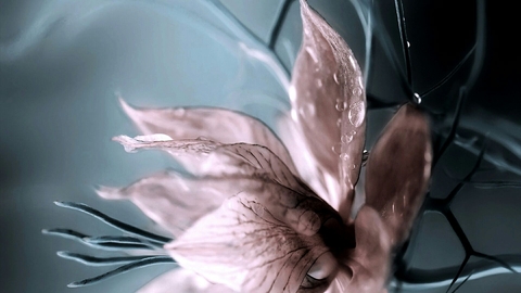 Abstract