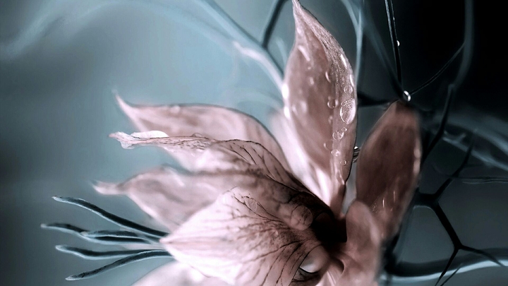 Abstract