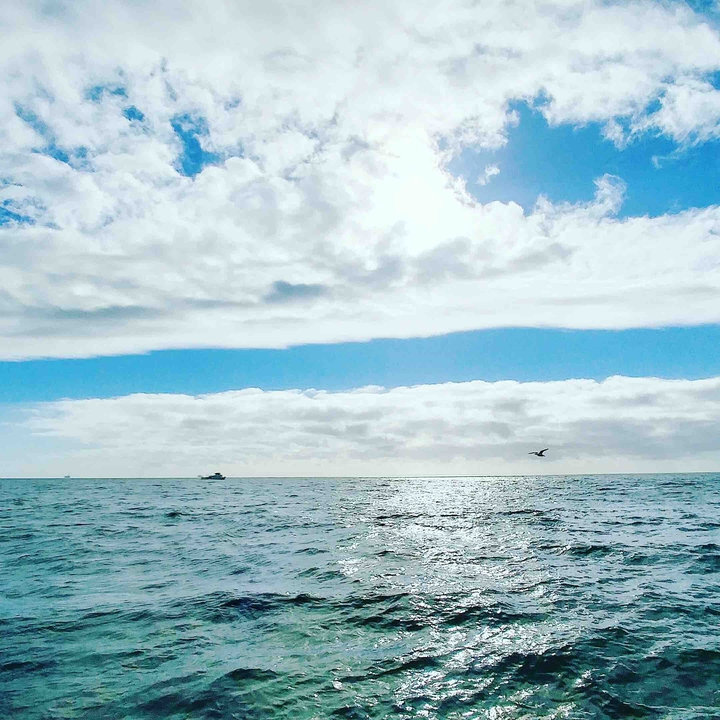 By the Sea