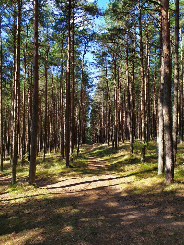 Kaliningrad