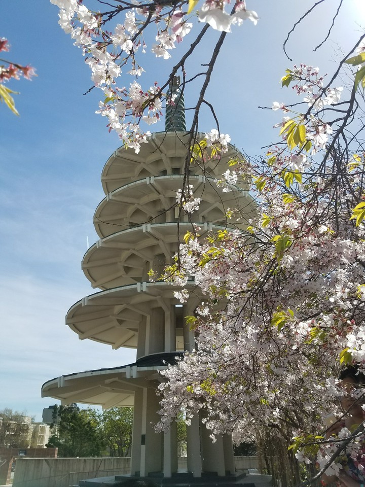 Nihon Machi