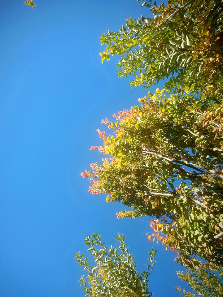 sky