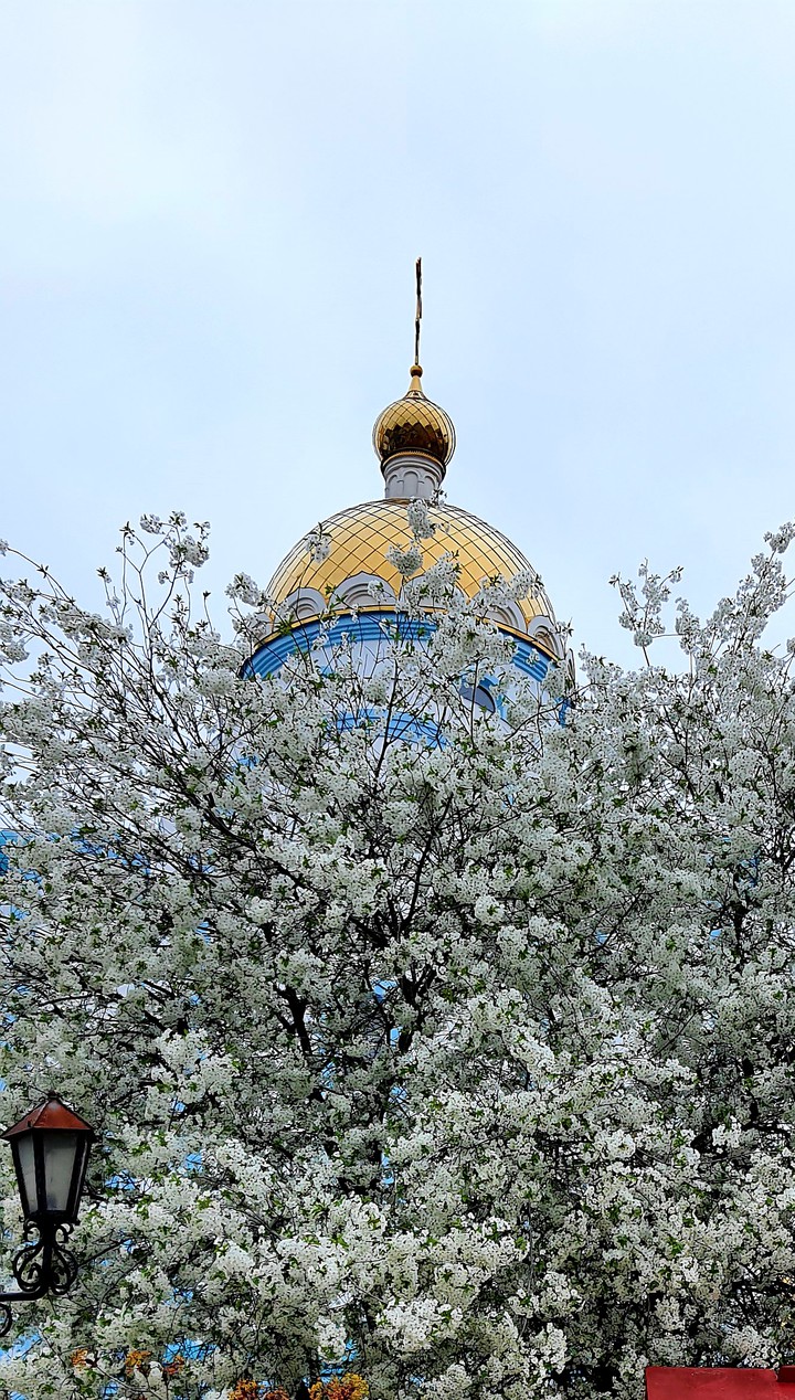 КМА. Краснодар