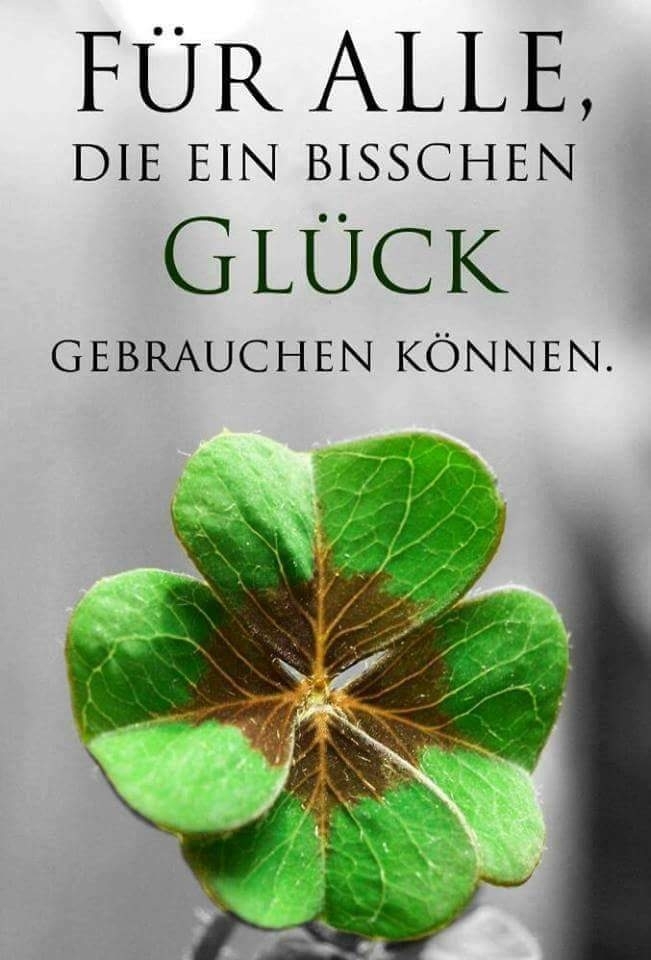 tolles Foto