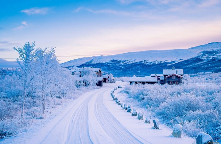 Winter