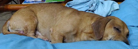 too tired