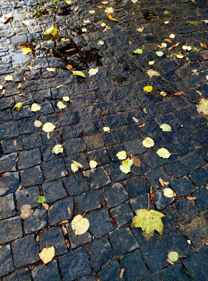 autumn