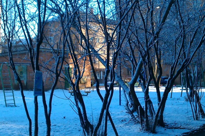 Winter
