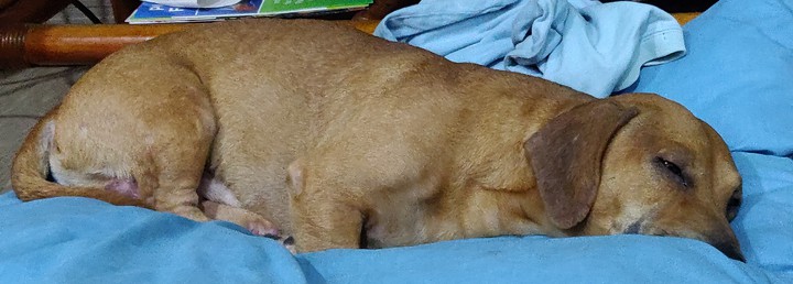 too tired