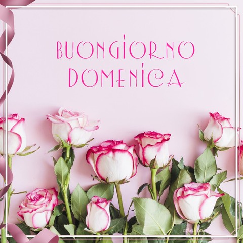 pink, beautiful Hintergrundbilder